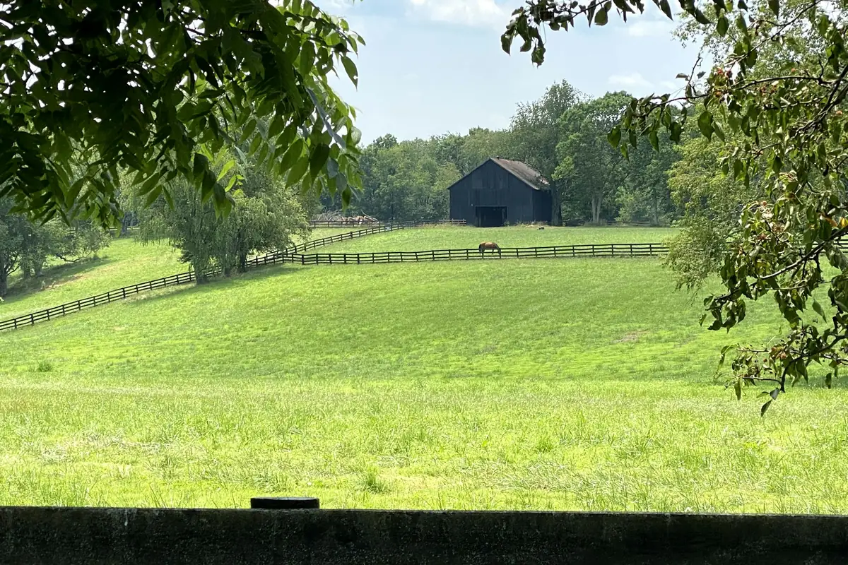 A horse grazing in a green pasture behind a wooden fence, with a barn beyond